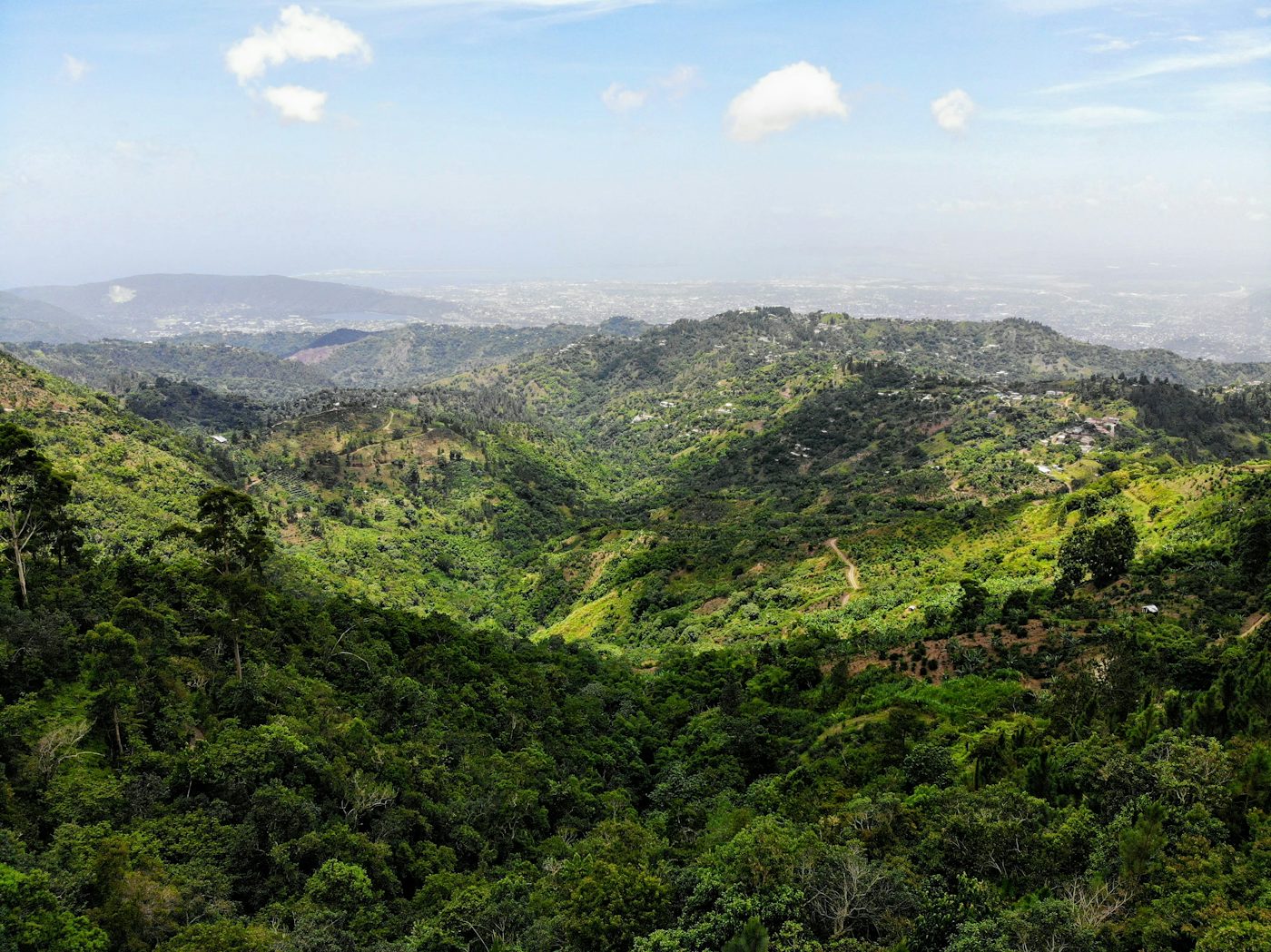 Green, forested hills of the Blue Mountains under a blue sky, with a valley of small farms below
